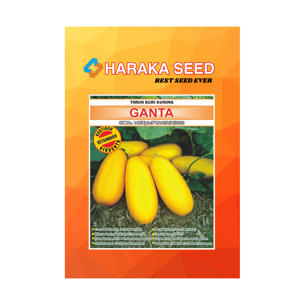 Kemasan benih Timun Suri Kuning GANTA