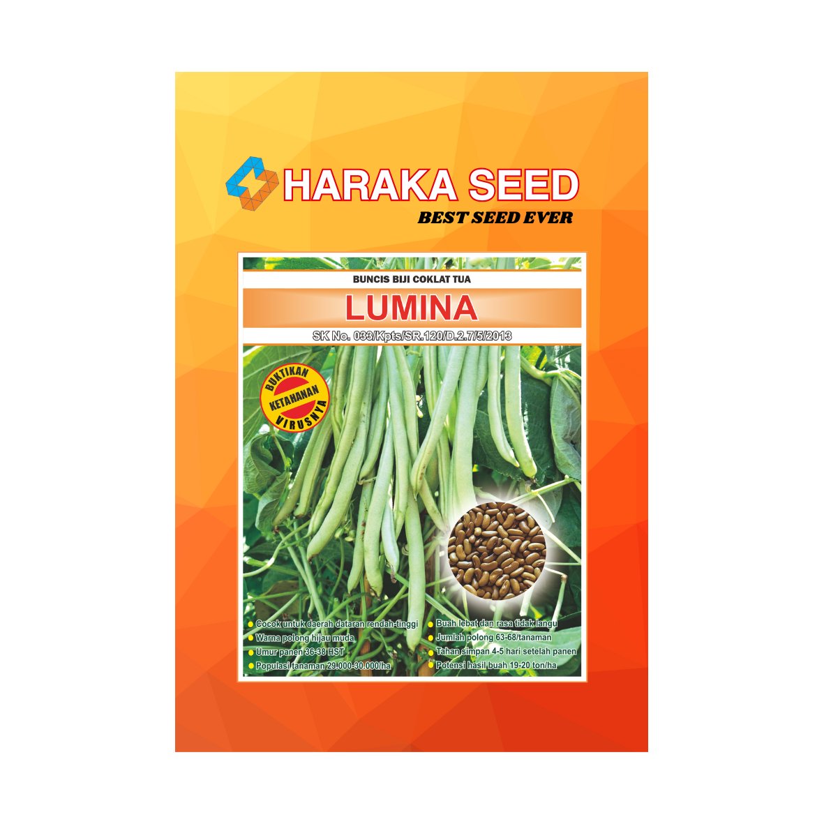 Kemasan benih Buncis Biji Coklat Tua LUMINA